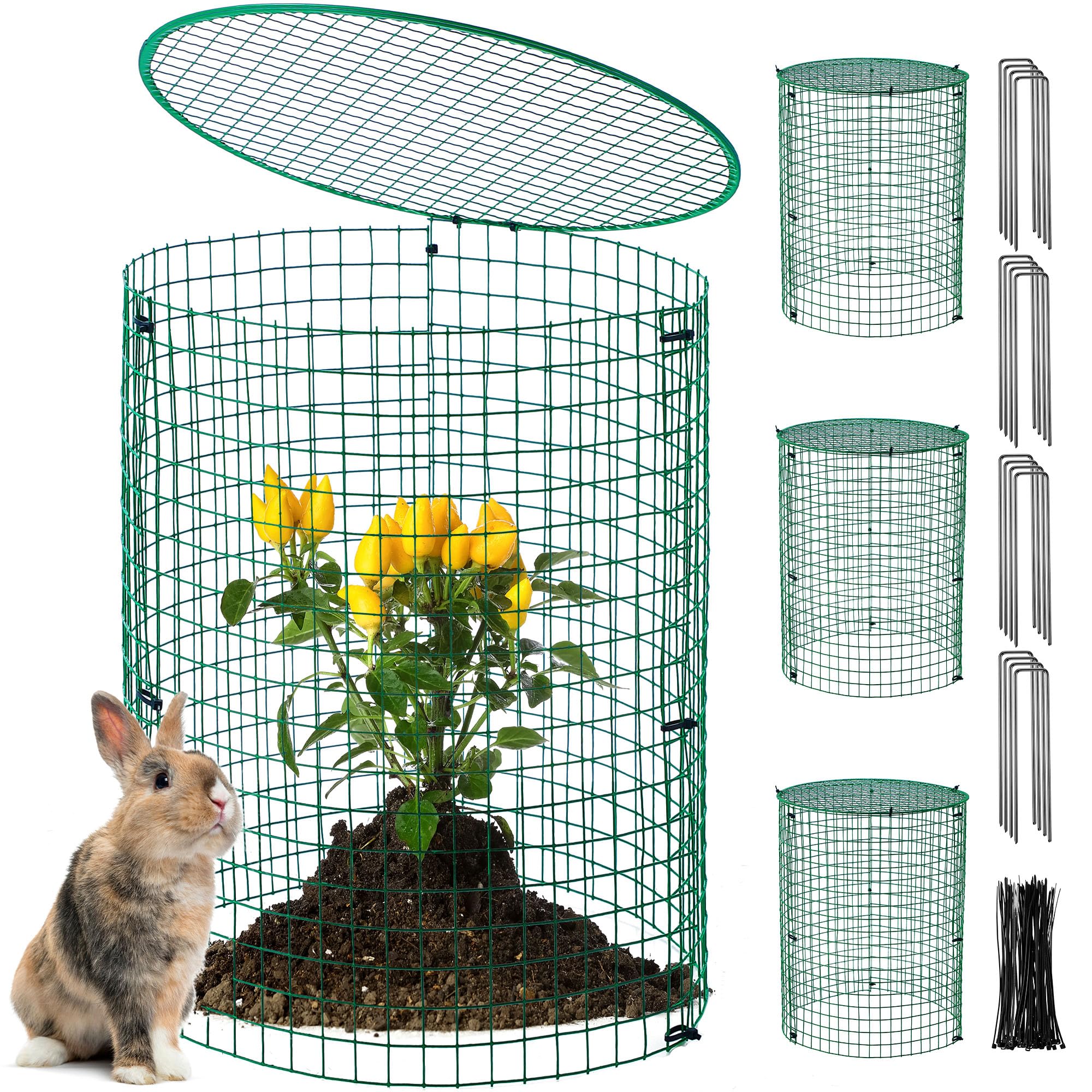 Hiboom assembled cages front view showing protection and tidy garden look