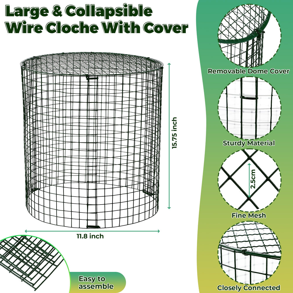 Hiboom protector in vegetable bed keeping seedlings safe and visible