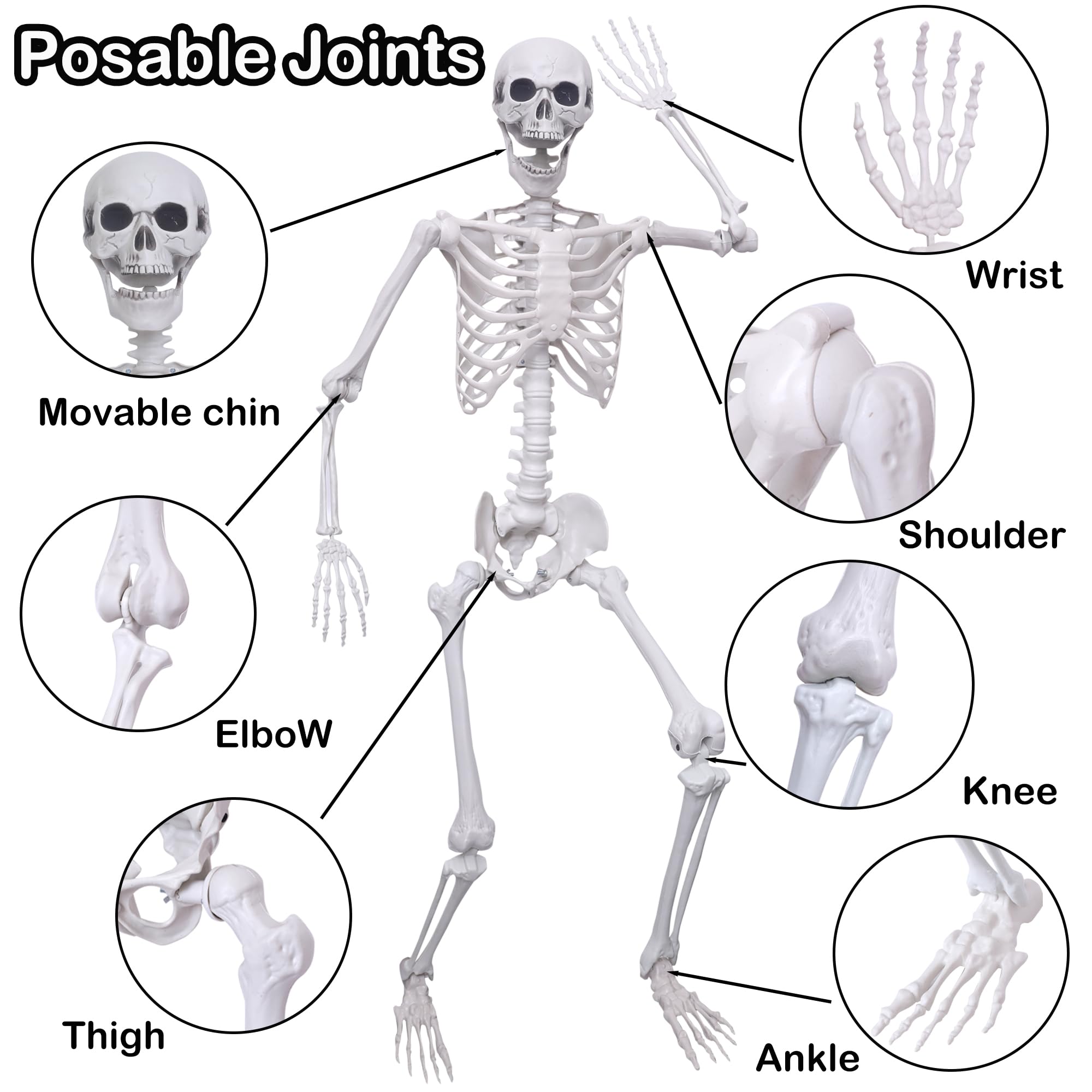 Hibsotco assembled skeletons standing in a yard providing spooky outdoor decoration