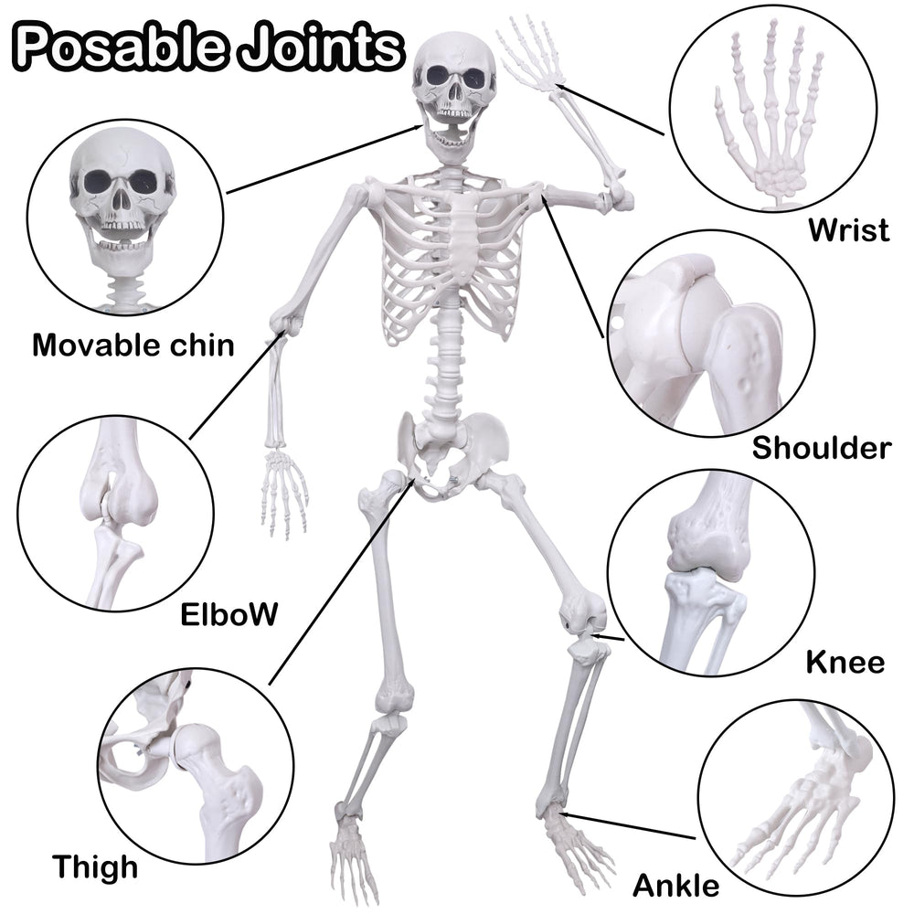 Hibsotco assembled skeletons standing in a yard providing spooky outdoor decoration