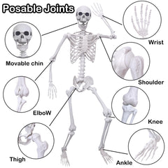 Hibsotco assembled skeletons standing in a yard providing spooky outdoor decoration