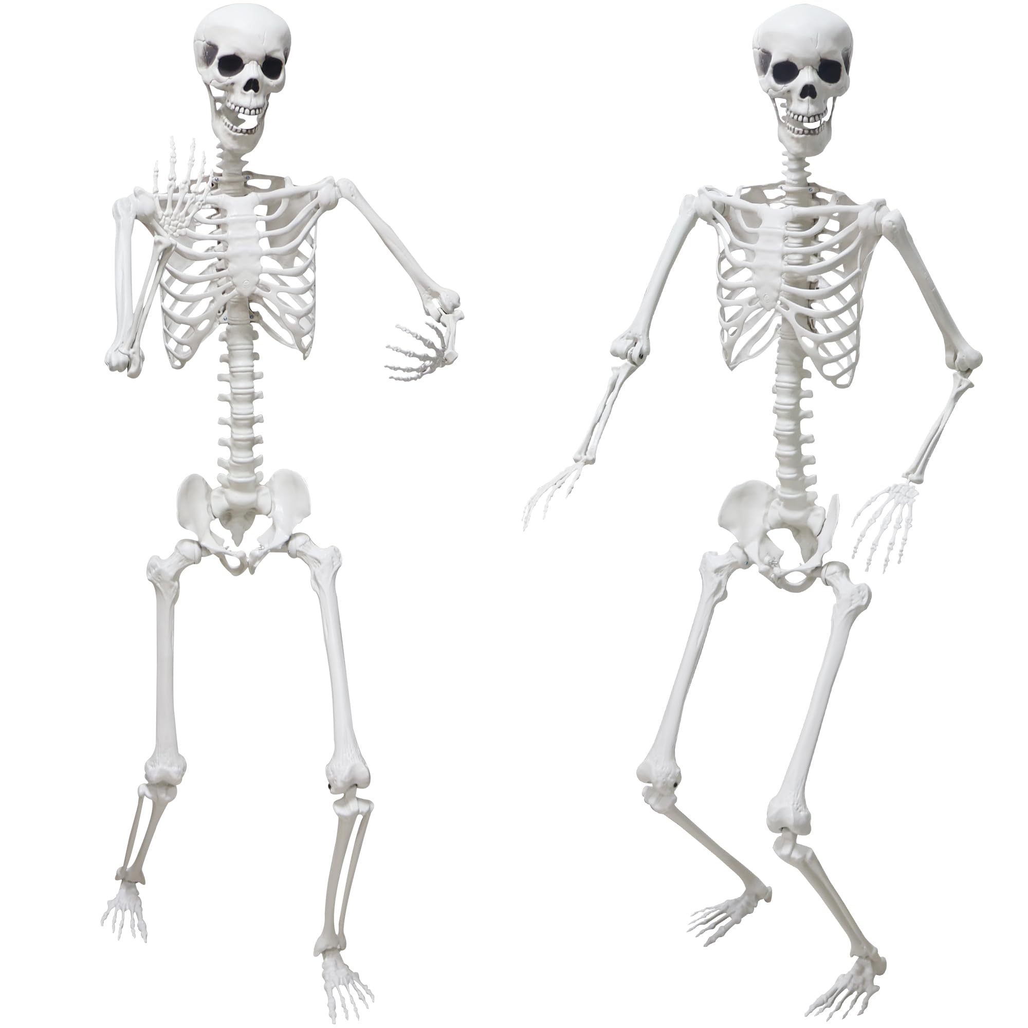 Hibsotco front-facing two skeletons showing realistic scale and spooky curb appeal