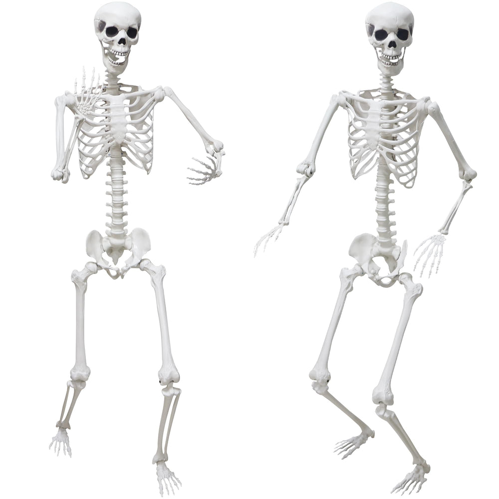 Hibsotco front-facing two skeletons showing realistic scale and spooky curb appeal