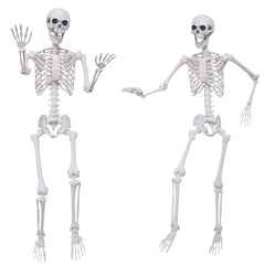 Hibsotco front view of both skeletons showing full 5.4ft height and realistic look