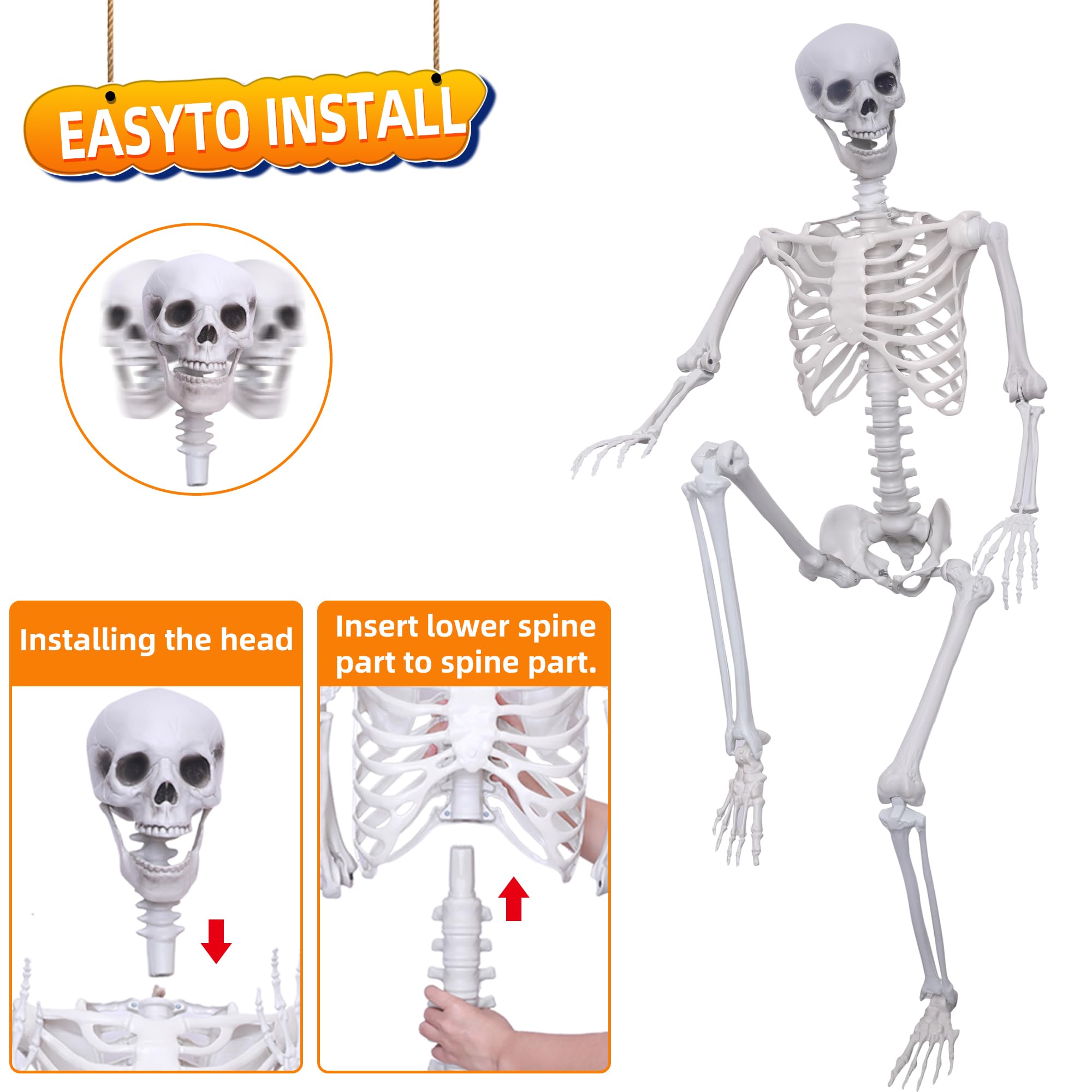 Hibsotco hanging skeleton from tree for eye-catching yard display benefit