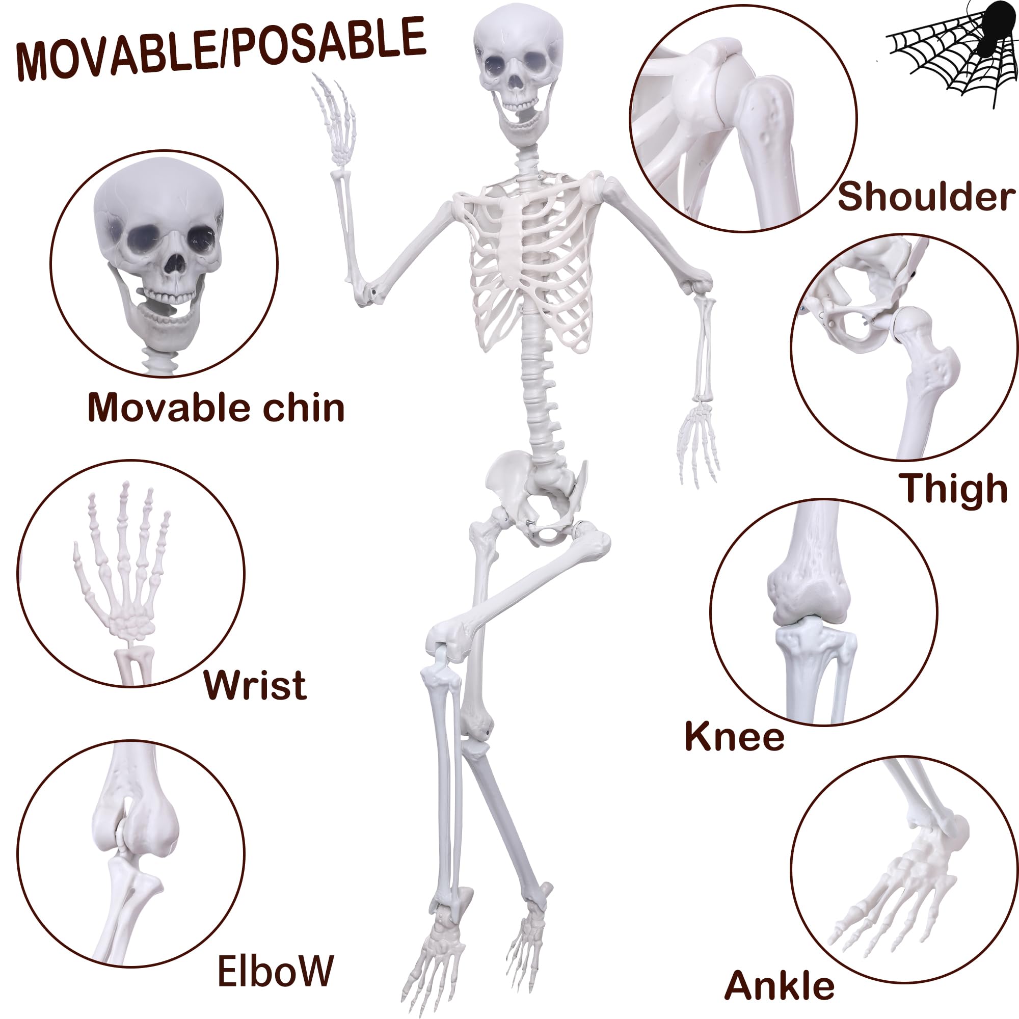 Hibsotco skeleton hung on porch illustrating easy elevated display and impact