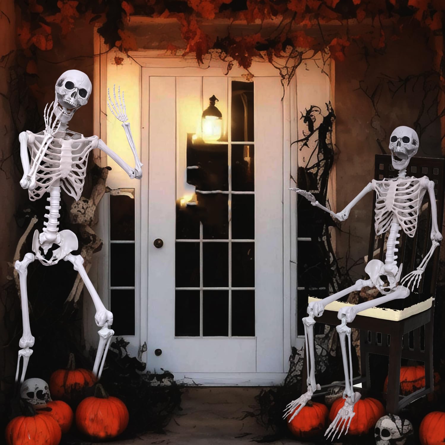 Hibsotco skeleton beside chair for size comparison showing accurate scale