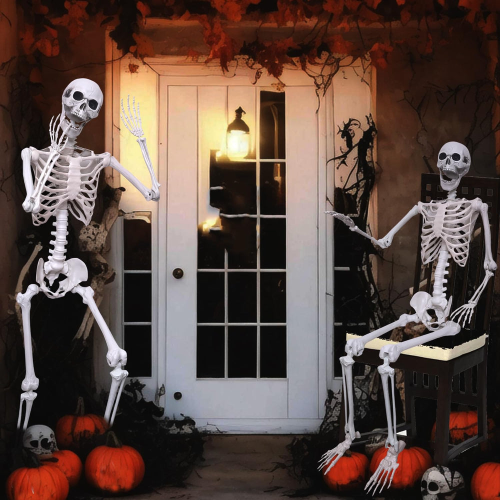 Hibsotco skeleton beside chair for size comparison showing accurate scale