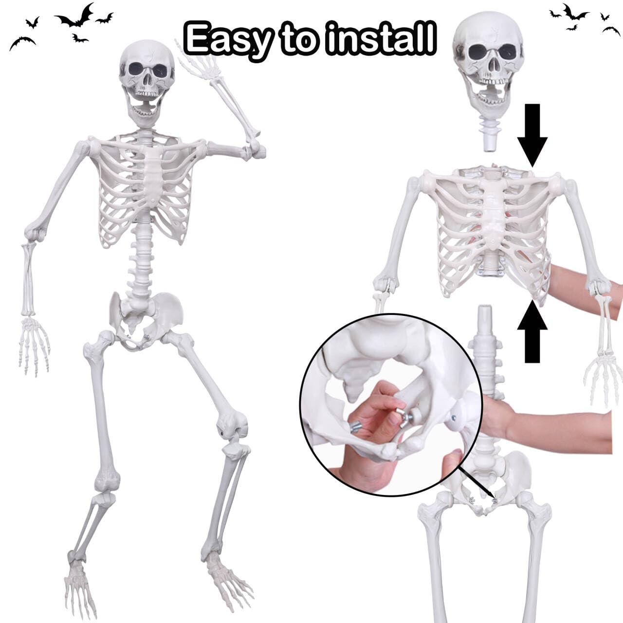 Hibsotco skeleton seated indoors illustrating party prop use and easy posing