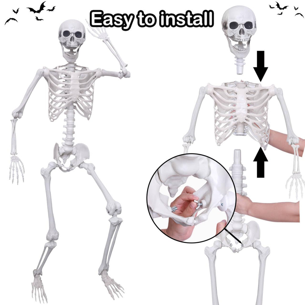 Hibsotco skeleton seated indoors illustrating party prop use and easy posing