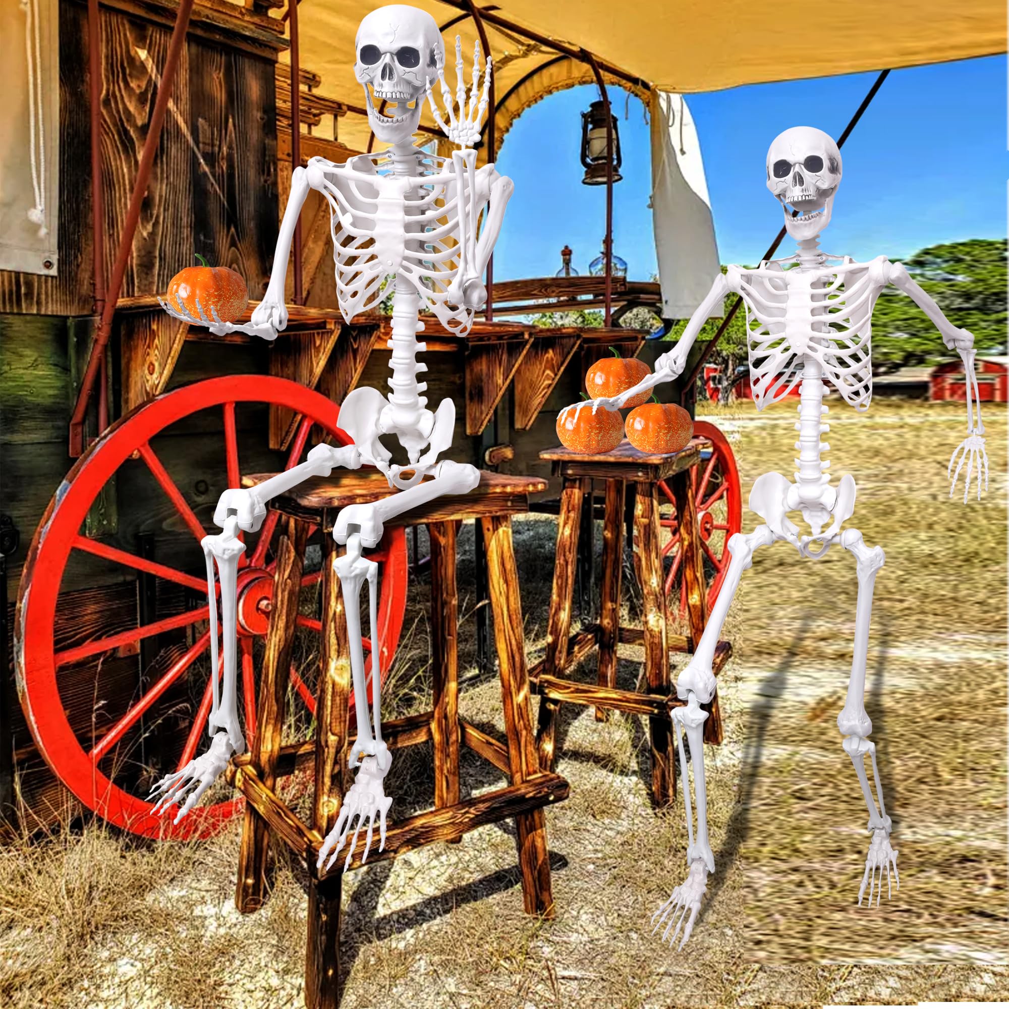 Hibsotco skeleton joint close-up showing adjustable poseability and durability