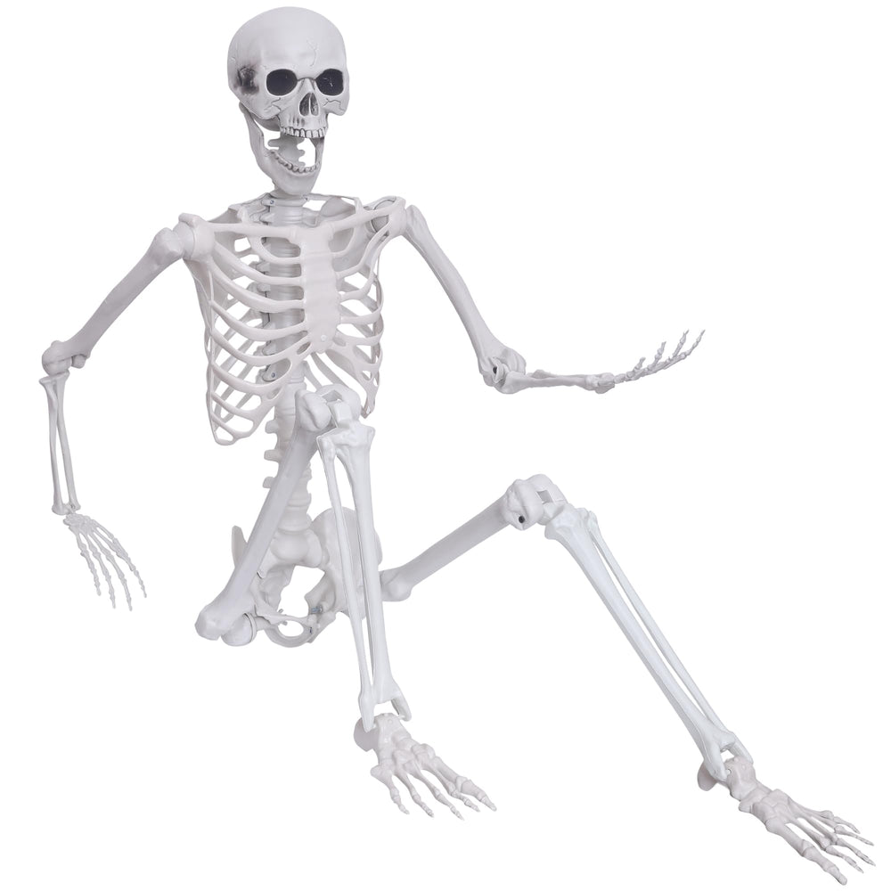 Hibsotco skeleton front view showing full life-size height and realism