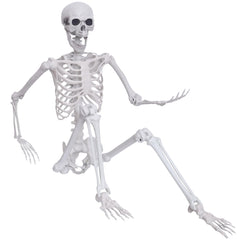Hibsotco skeleton front view showing full life-size height and realism