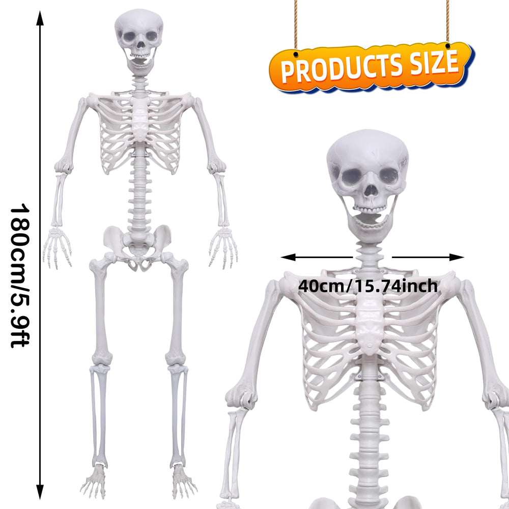 Hibsotco skull and bone texture close-up for authentic visual impact benefit