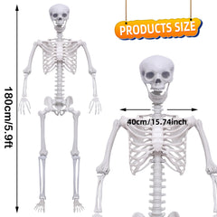 Hibsotco skull and bone texture close-up for authentic visual impact benefit
