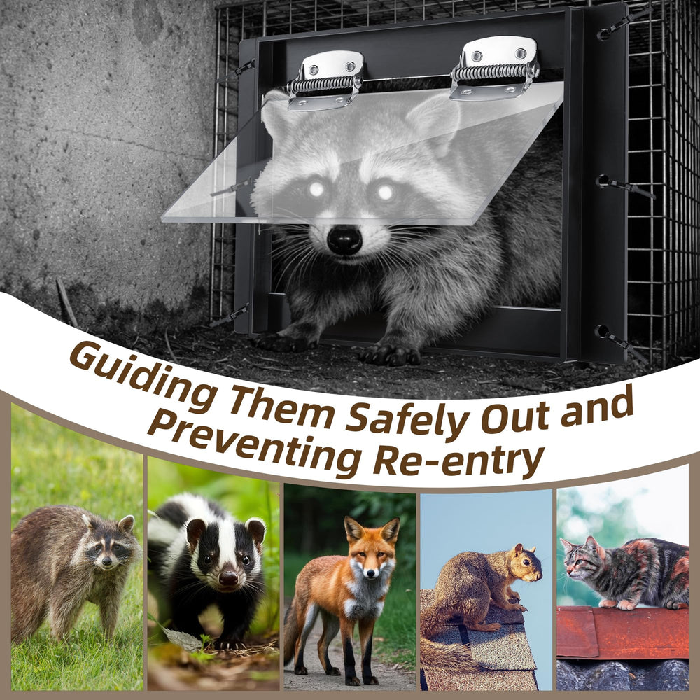 Hicarer lifestyle shot on home exterior showing humane wildlife exclusion solution