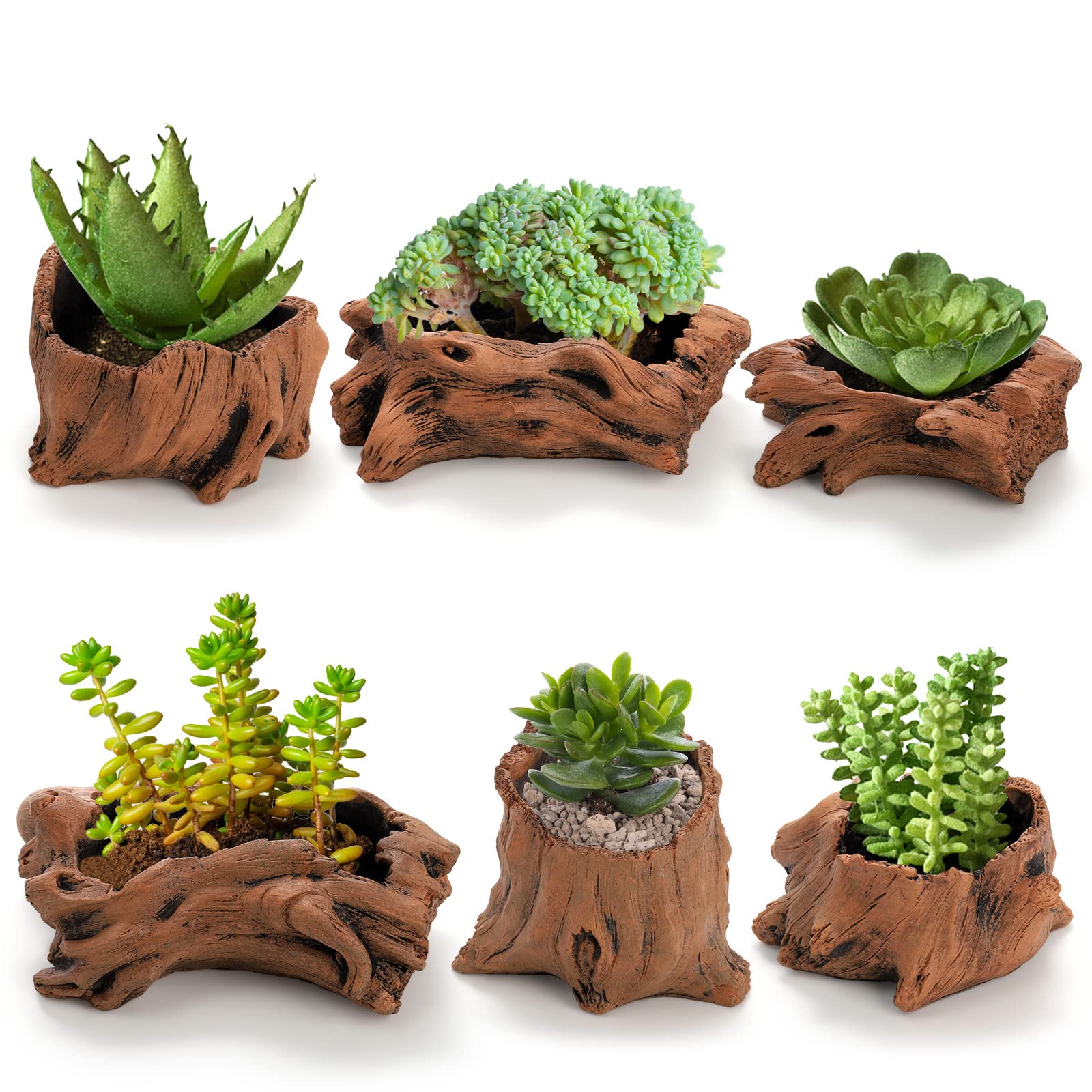 Hiceeden front view of six driftwood cement planters highlighting rustic style and versatility
