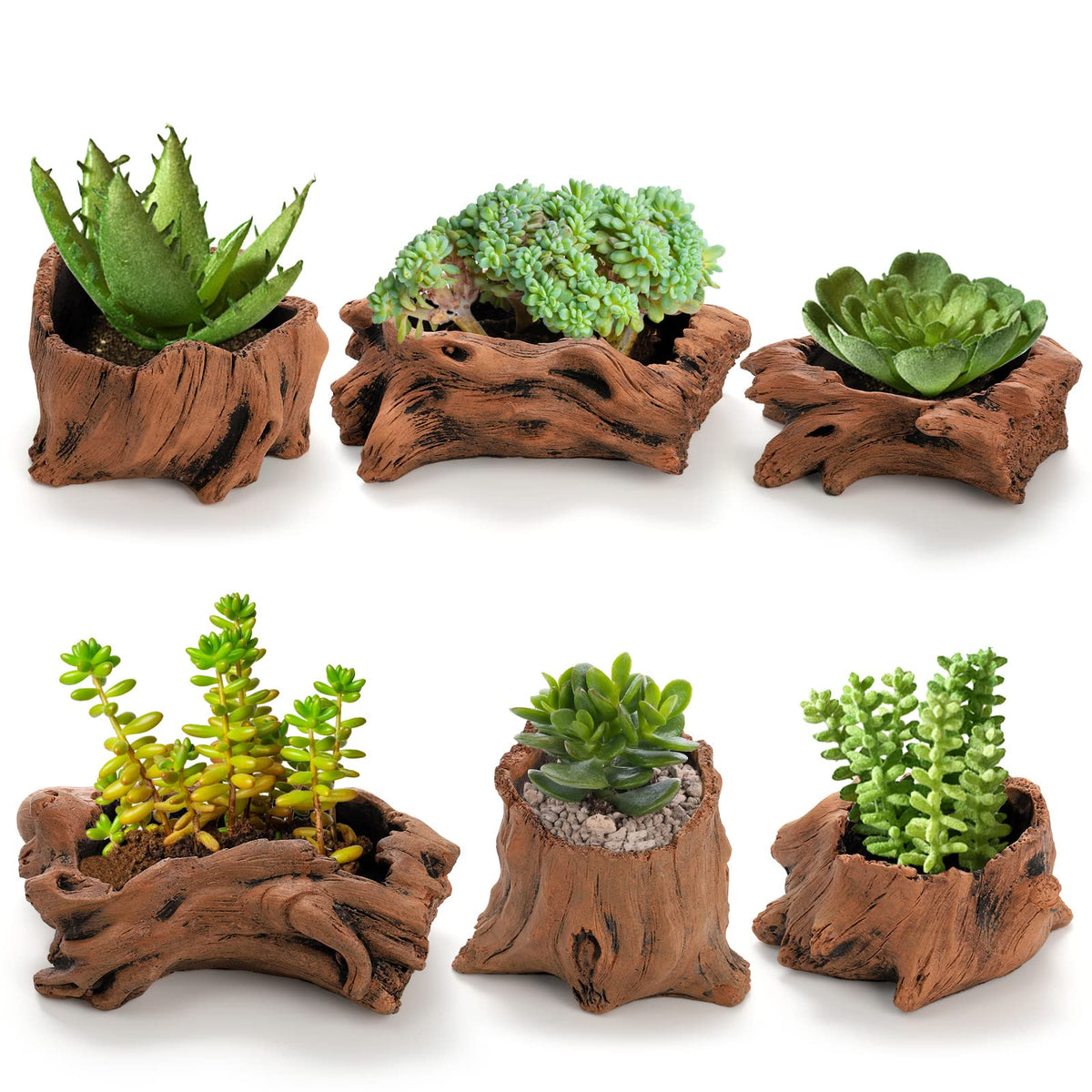 Hiceeden front view of six driftwood cement planters highlighting rustic style and versatility