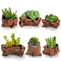 Hiceeden front view of six driftwood cement planters highlighting rustic style and versatility