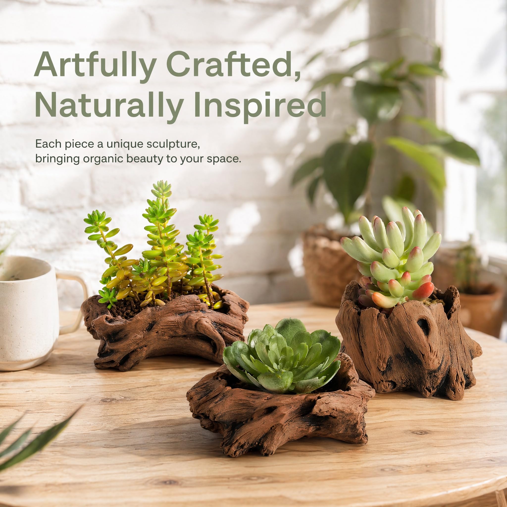 Hiceeden group of six planters styled on table for cohesive decorative arrangement