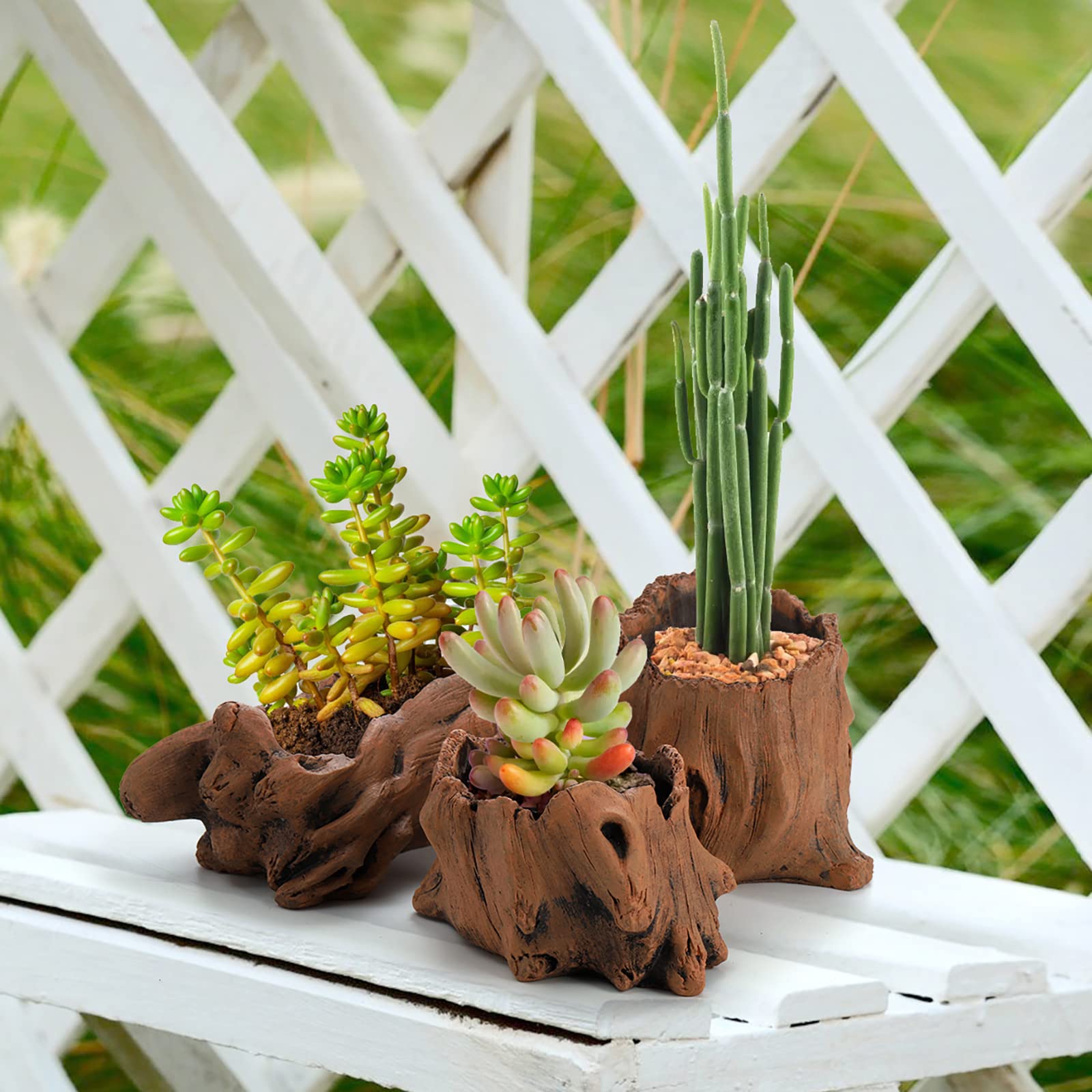 Hiceeden outdoor patio display with planters creating a durable garden accent