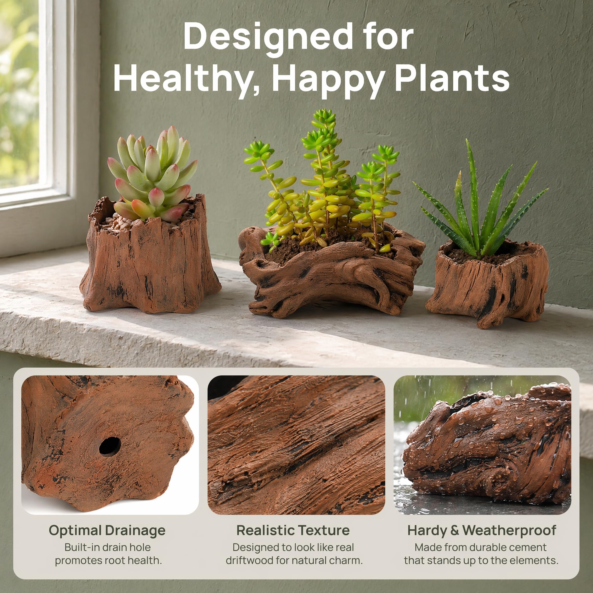 Hiceeden planter with succulent on windowsill adding low-maintenance greenery indoors