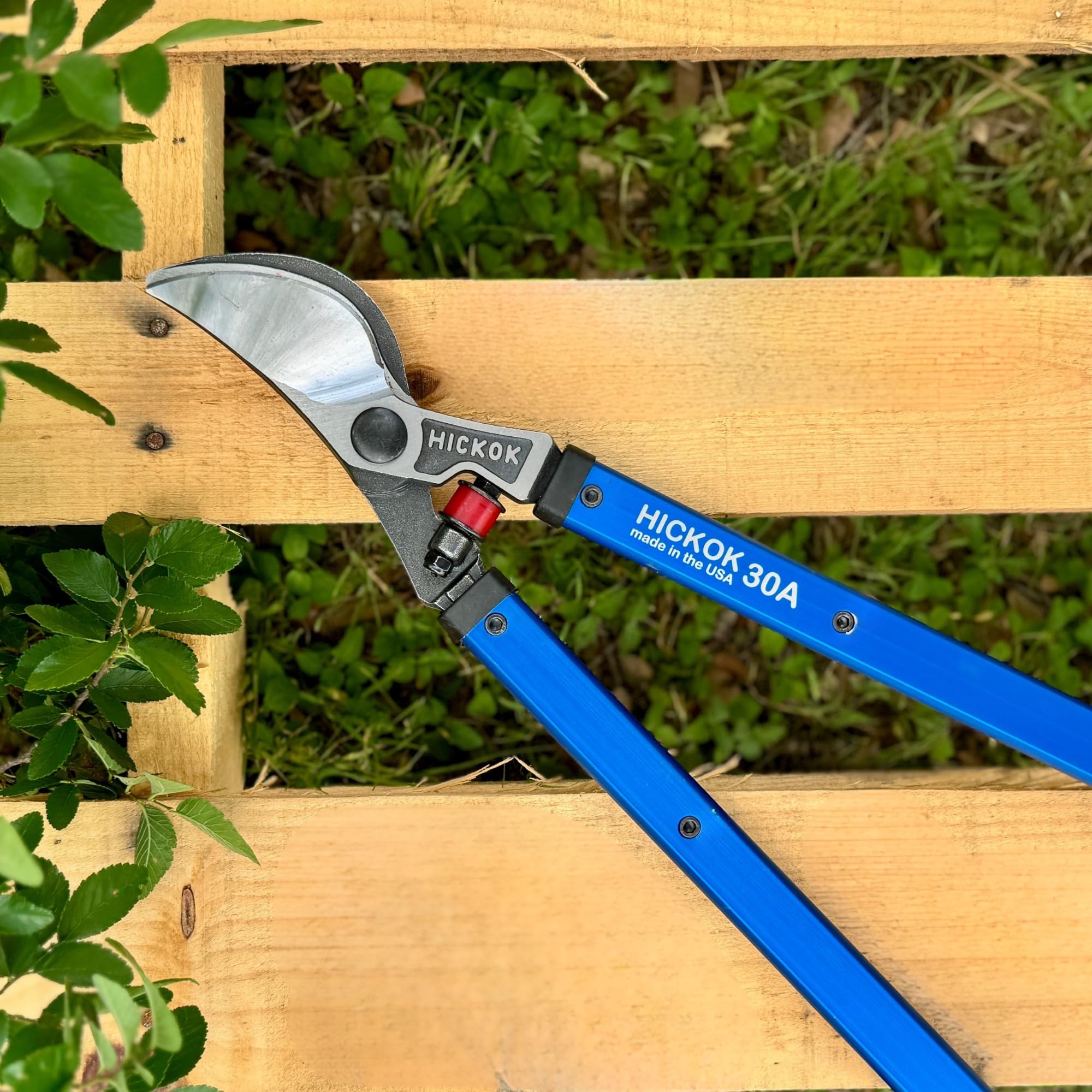 Hickok loppers cutting a thick branch illustrating power and ease of use