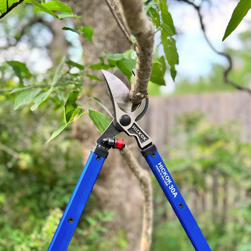 Hickok loppers in use by gardener demonstrating professional-grade performance
