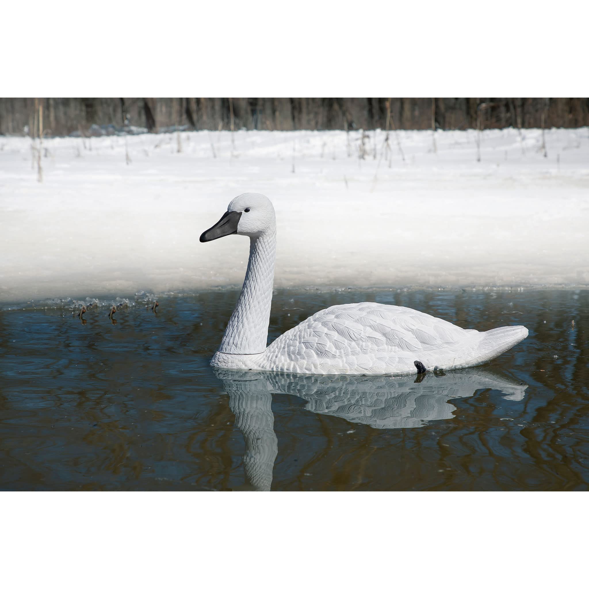Higdon Outdoors decoys floating on a pond demonstrating stable suction-keel floating benefit