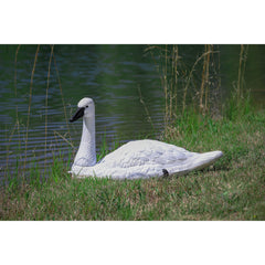 Higdon Outdoors removable head posed in feeding and alert positions showing natural motion
