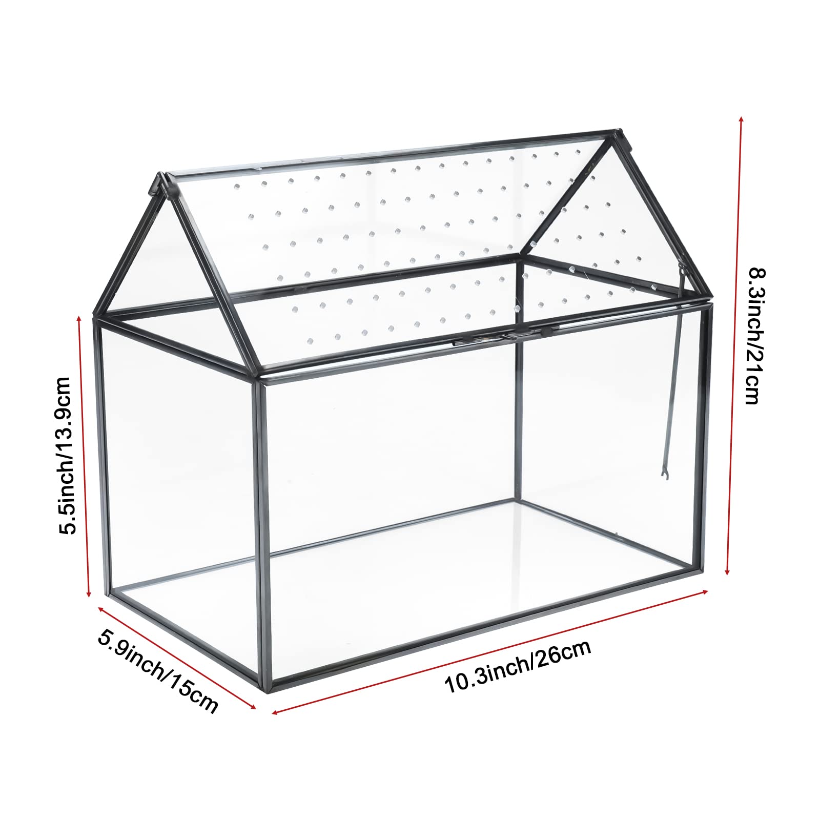 HighFree terrarium with acrylic swing lid open for easy planting access