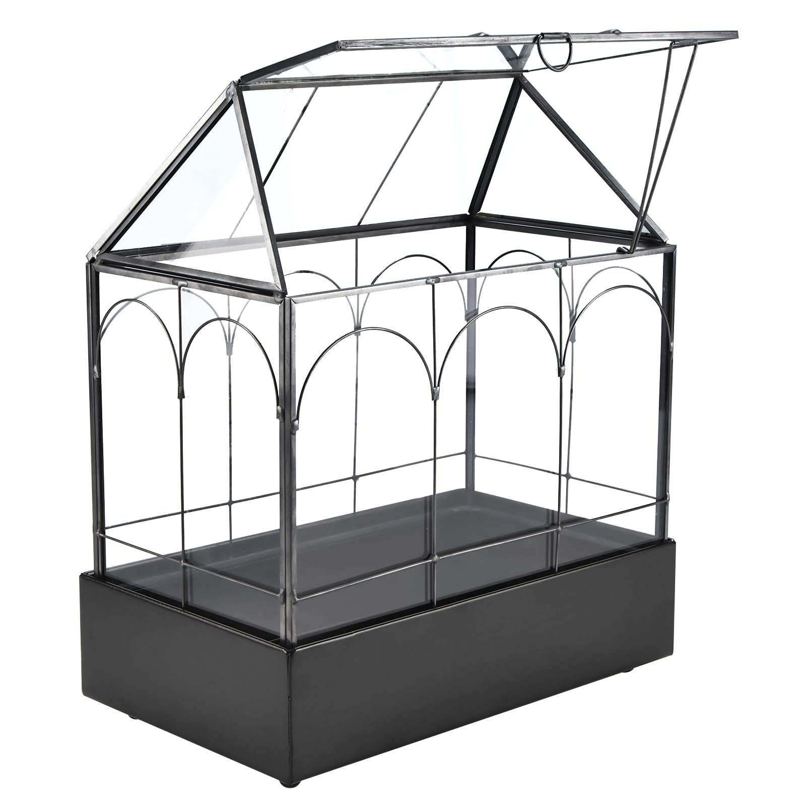 HighFree front view of house-shaped terrarium showing clean lines and visibility benefit