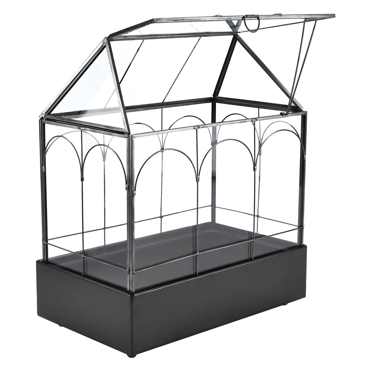 HighFree front view of house-shaped terrarium showing clean lines and visibility benefit