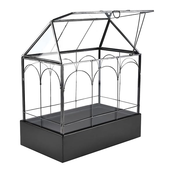 HighFree front view of house-shaped terrarium showing clean geometric silhouette and display benefit