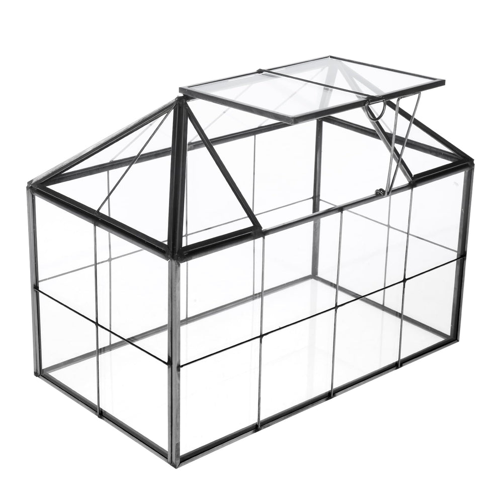 HighFree hands placing plant into terrarium highlighting user-friendly access