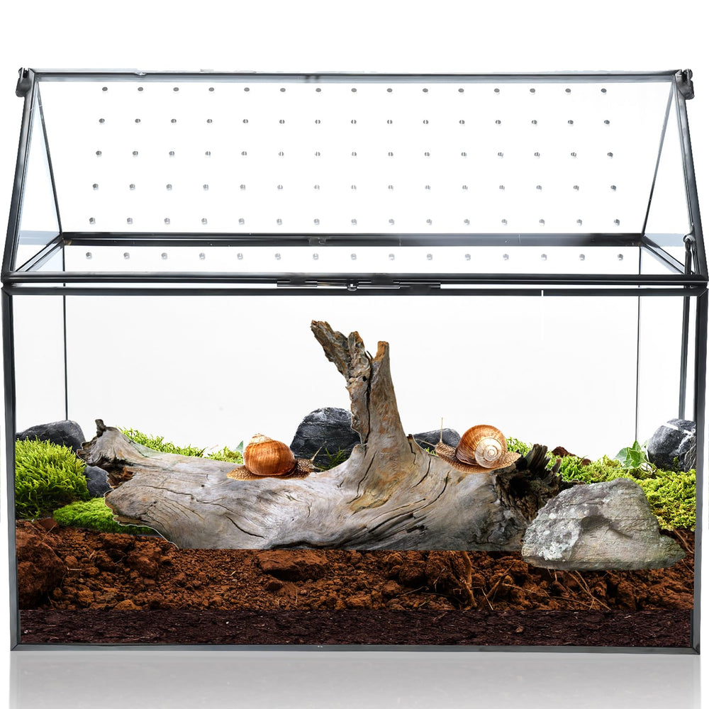 HighFree terrarium front view showing geometric house shape and clean lines