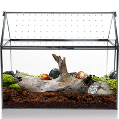 HighFree terrarium front view showing geometric house shape and clean lines
