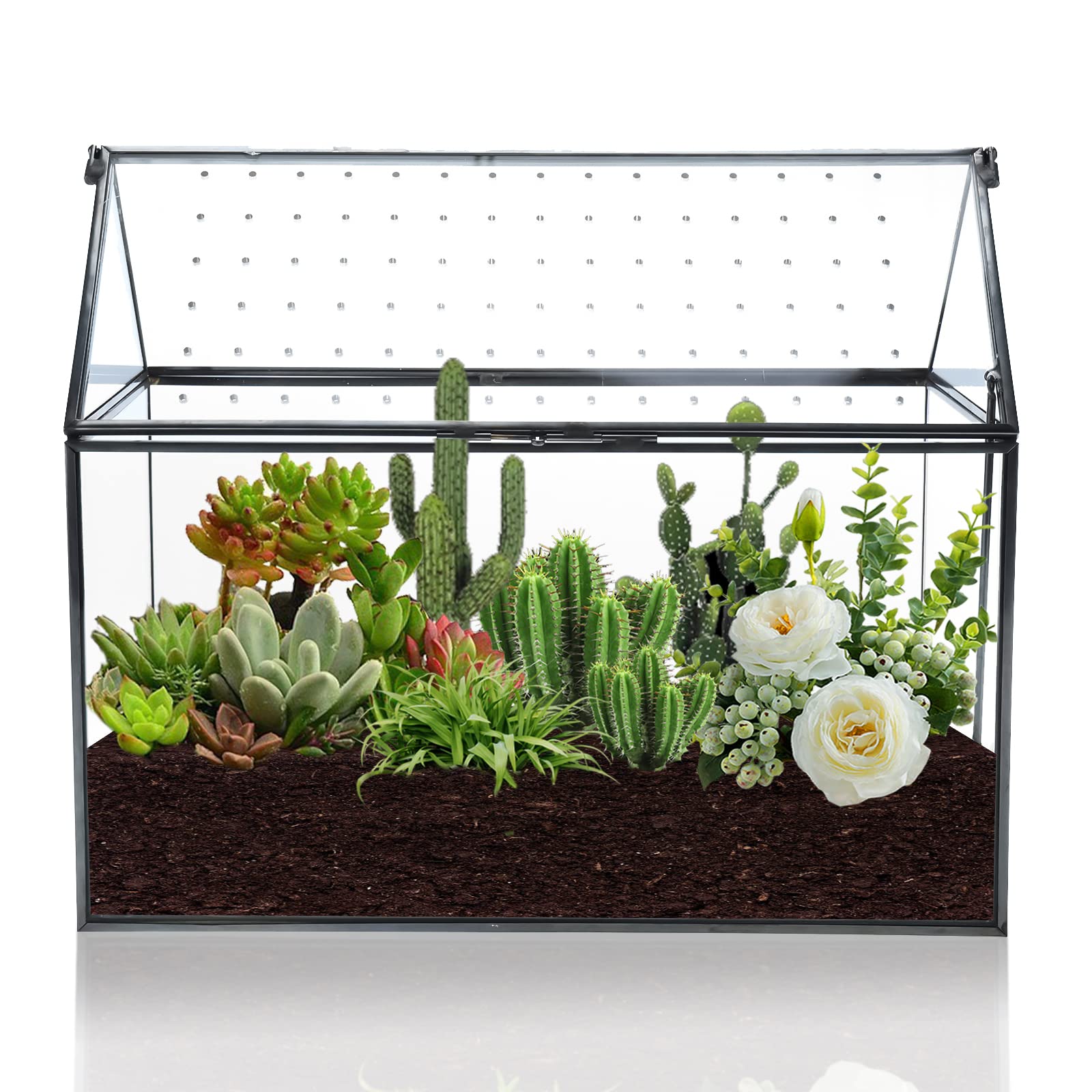 HighFree interior styled with succulents and pebbles for decorative inspiration
