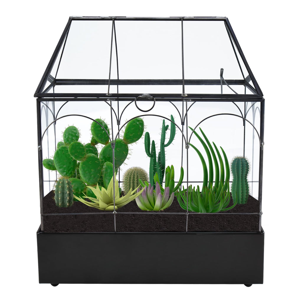 HighFree terrarium styled on tabletop showing decorative centerpiece benefit