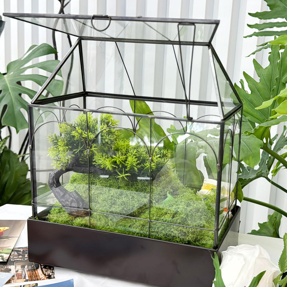 HighFree clear glass close-up showing high light transmission for plant health benefit