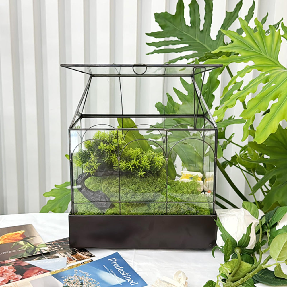 HighFree open terrarium lid illustrating ventilation control and care access benefit