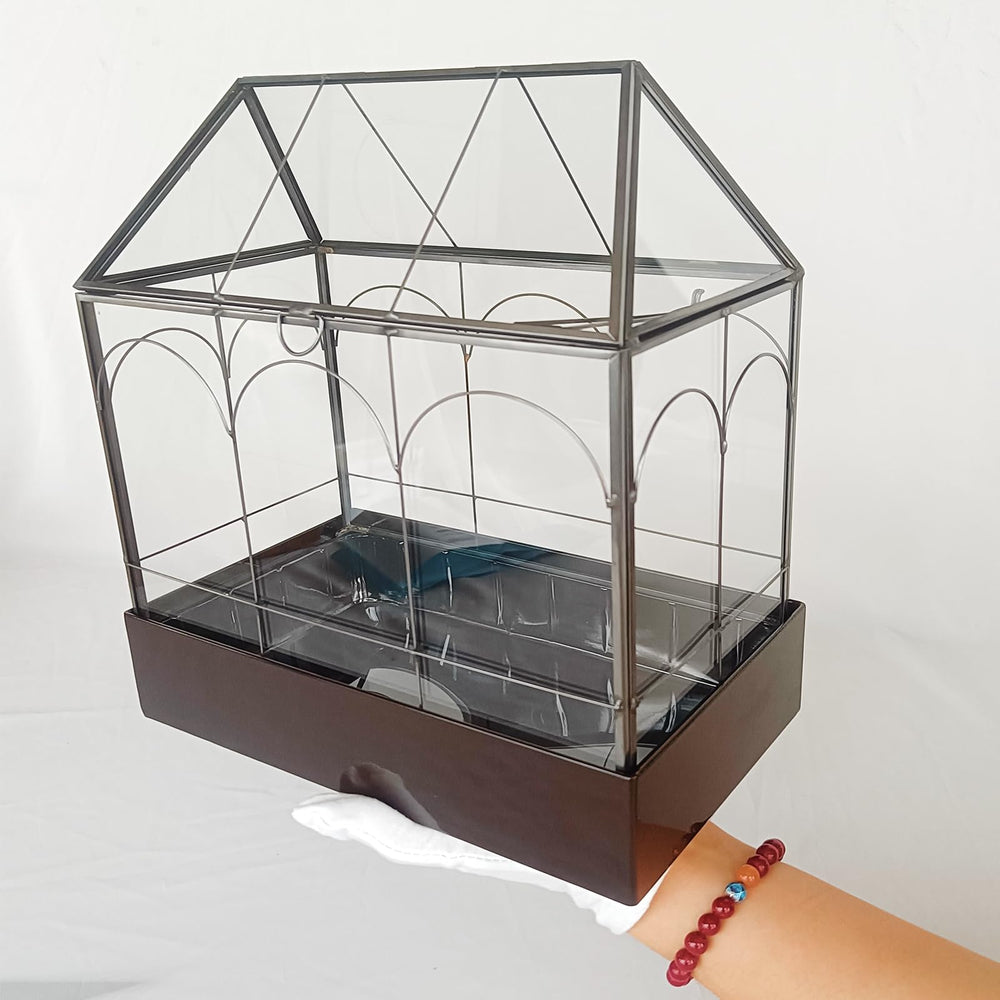 HighFree terrarium on desk beside succulent showing size and scale benefit