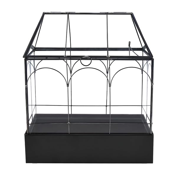 HighFree terrarium shown with hand for scale offering size clarity and placement benefit