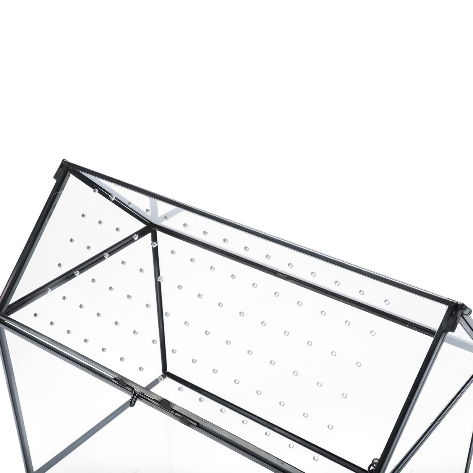 HighFree terrarium next to a ruler showing 10.3 x 8.3 x 5.9 inch scale
