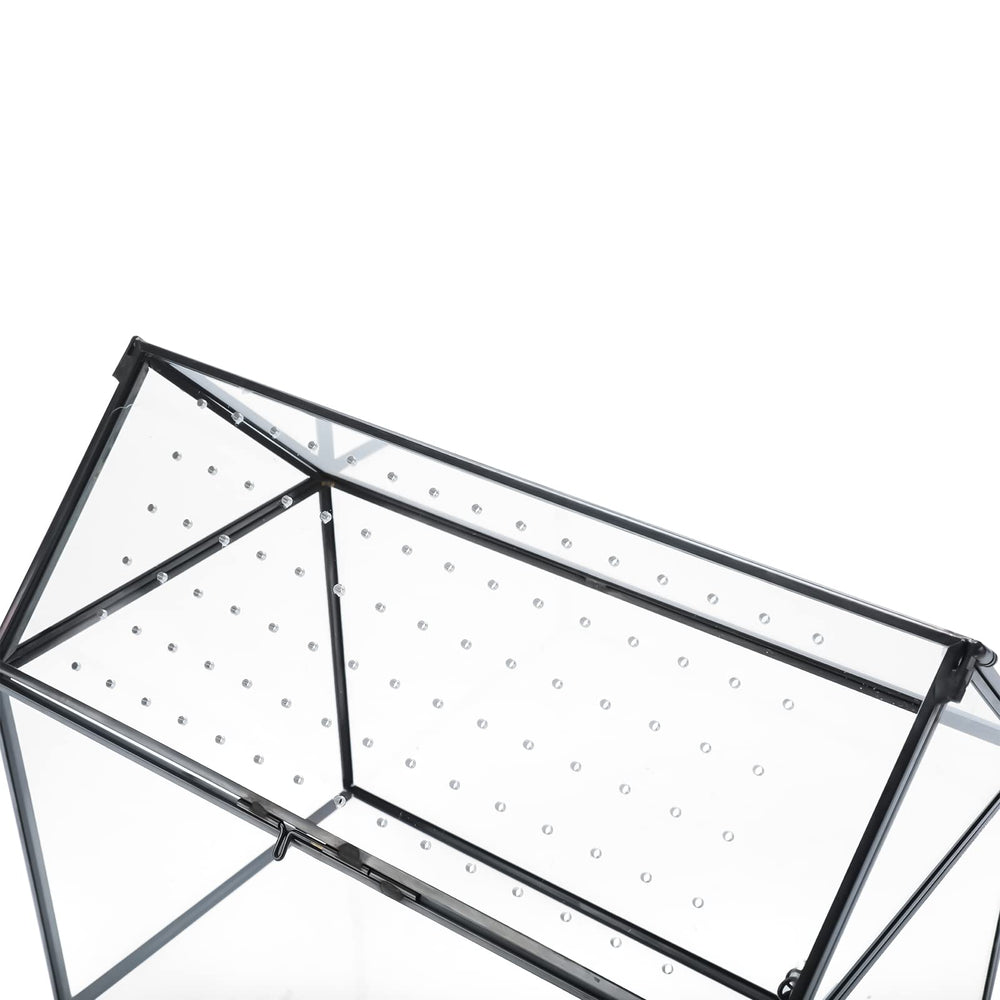 HighFree terrarium next to a ruler showing 10.3 x 8.3 x 5.9 inch scale
