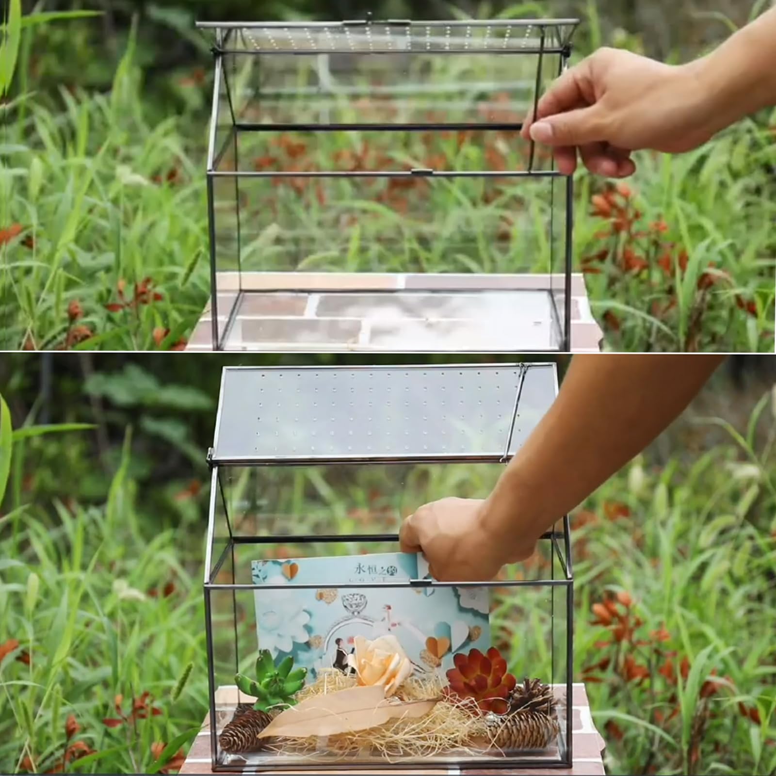 HighFree view of top breathing holes that improve airflow for plants