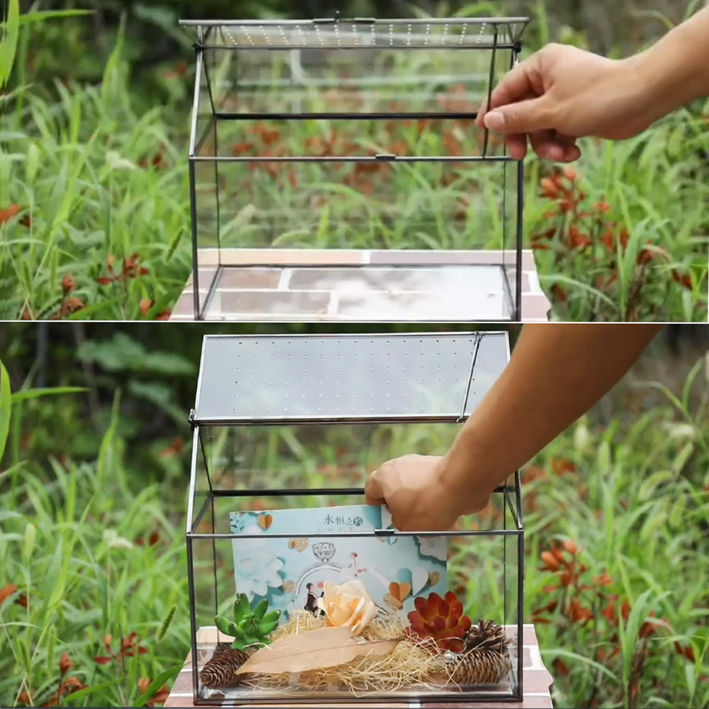 HighFree view of top breathing holes that improve airflow for plants