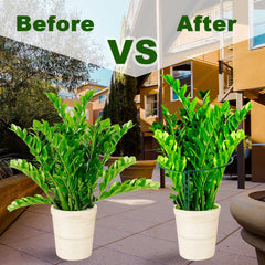 HiGift two half‑rounds clipped together forming full ring for stronger plant support