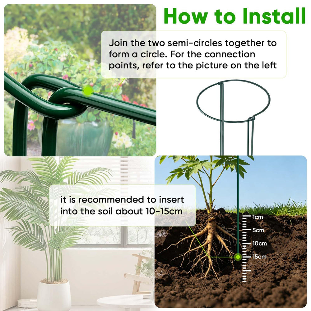 HiGift supports in use around a peony keeping stems upright and improving display