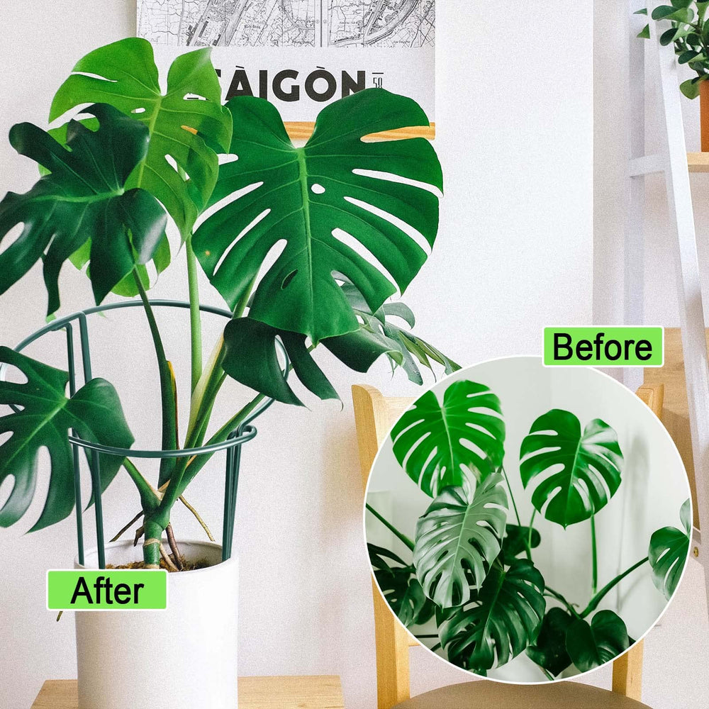 HiGift support beside a standard pot showing 24 inch height scale advantage